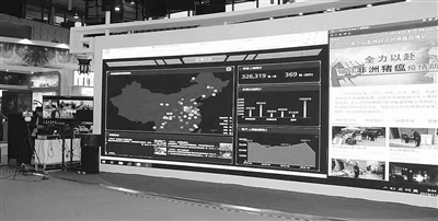 yangchun8b35_b.jpg yangchun8b35_b.jpg