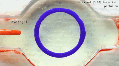 6.gif