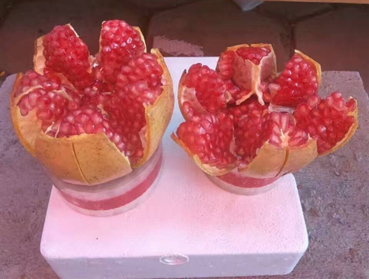 2019108184916271.jpg
