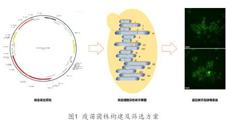 360截图20200225150102086.jpg