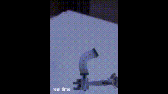 61f0-itmiwry4917135.gif